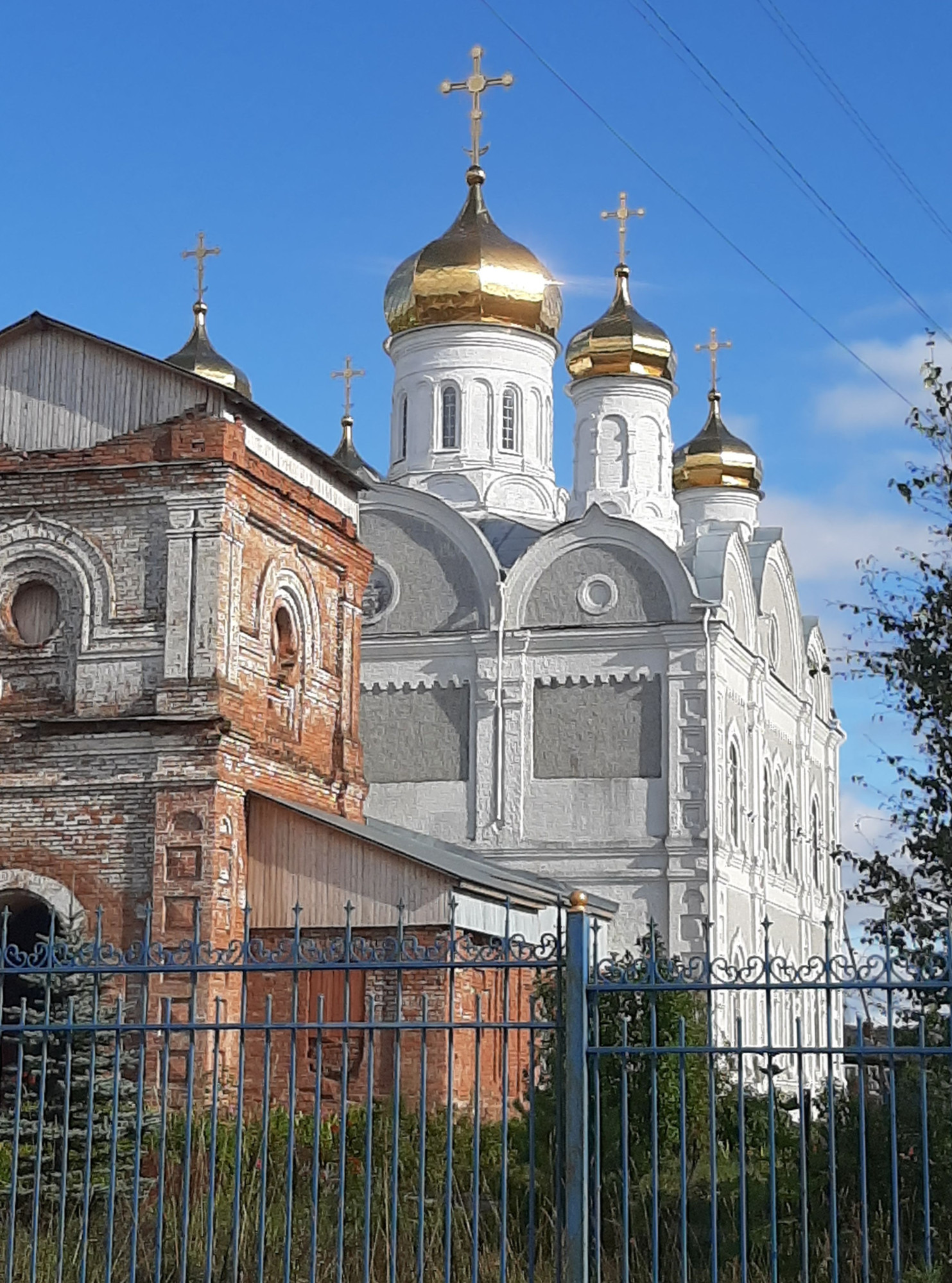Фото Евгении Гачко. Койгородская Межпоселенческая централизованная библиотечная система