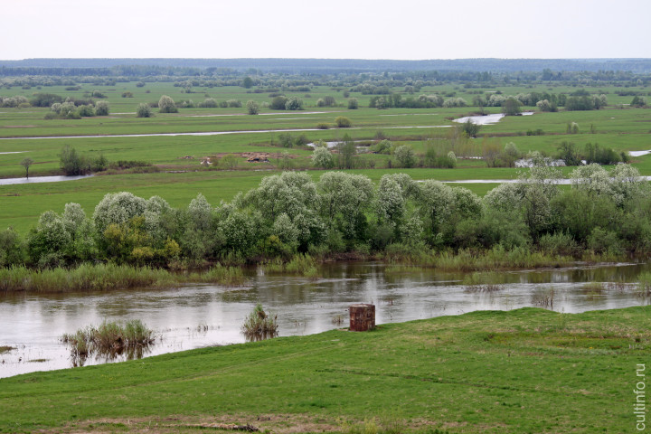 Морозовица