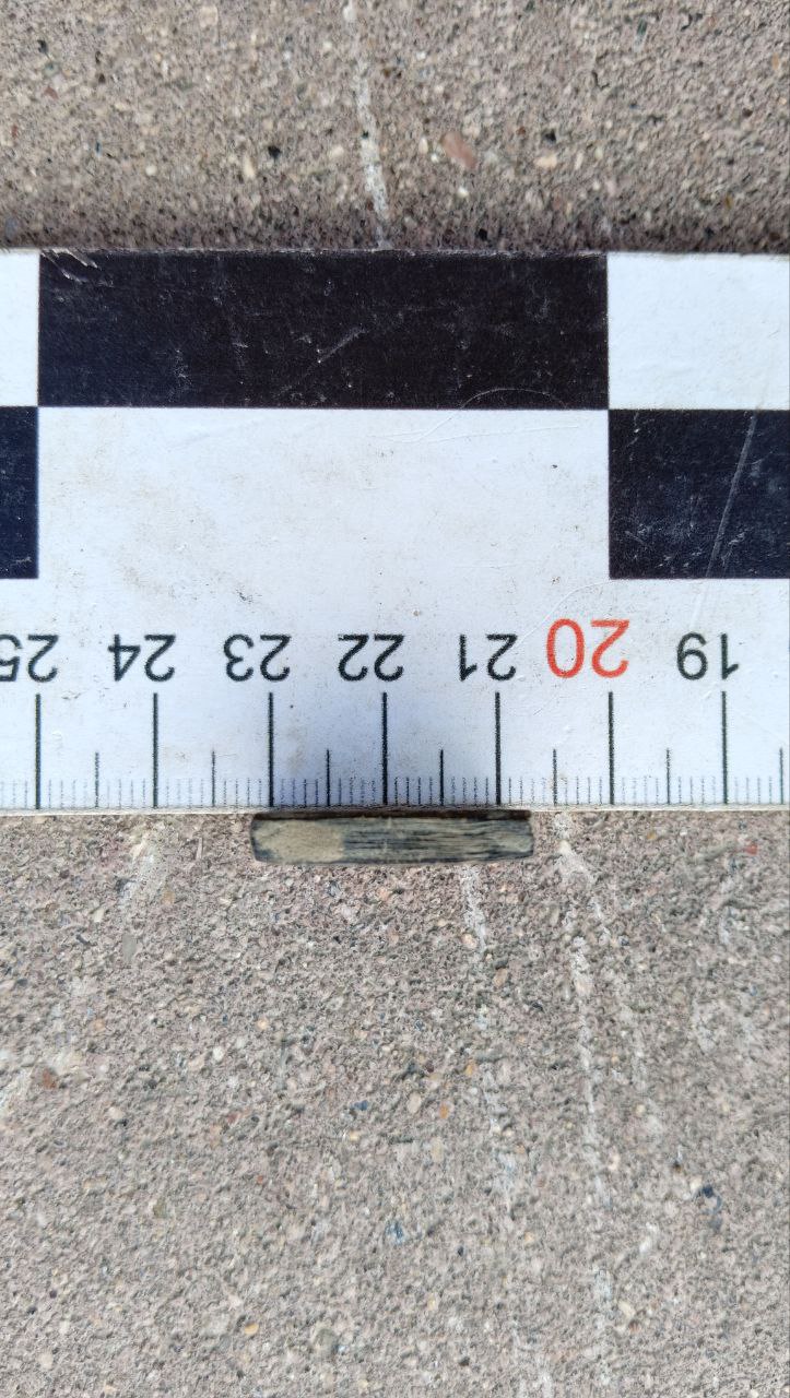 Игральная фишка. Фото Игоря Тарасова