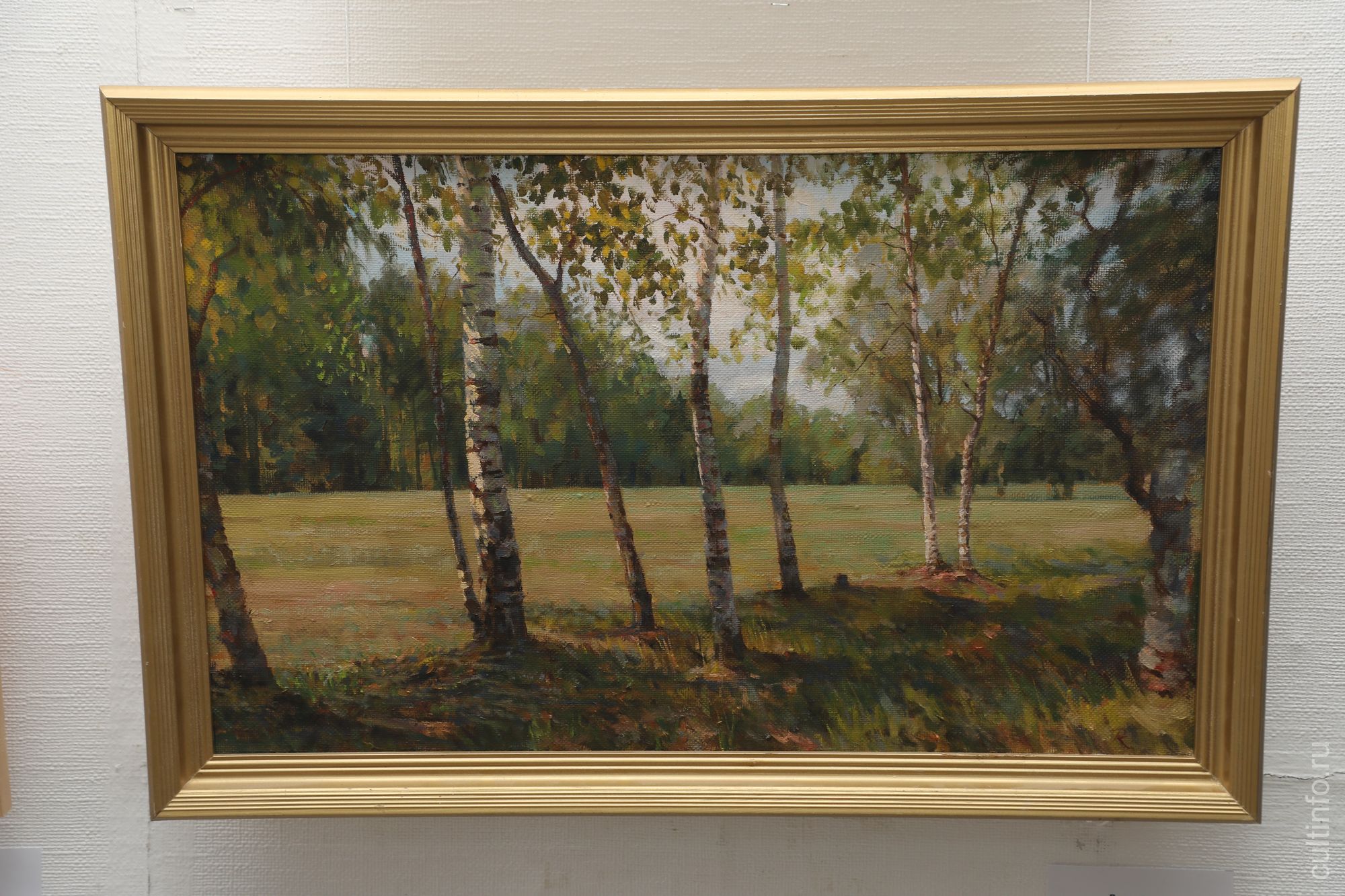 Березки. 2007 