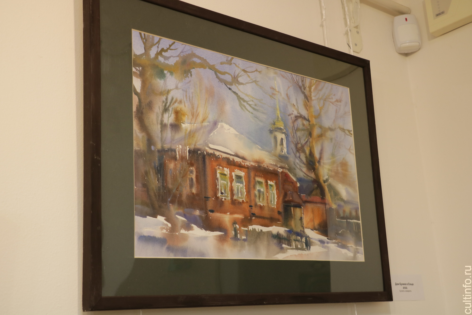 Традиции и новаторство акварели череповецкого художника Любови Борисовой представлены в Шаламовском доме