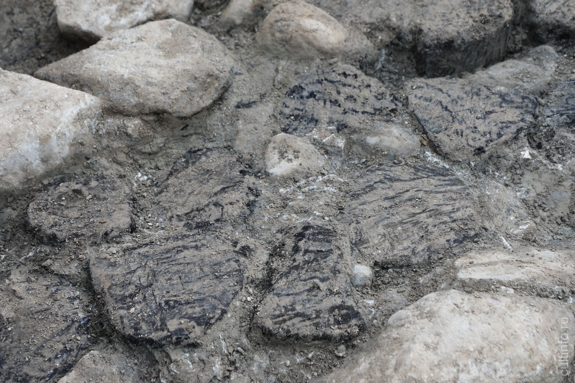 Сваи Наугольной башни крепости Ивана Грозного (угловая башня северо-восточной части крепости).