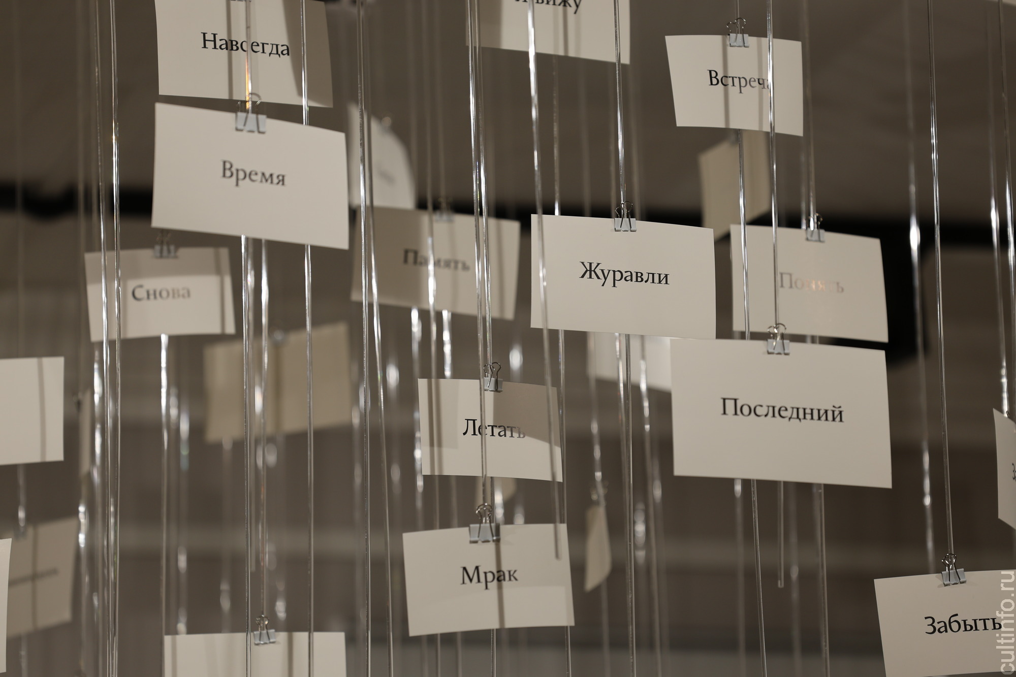 Музей Николая Рубцова открылся в Вологде к 90-летию со дня рождения поэта