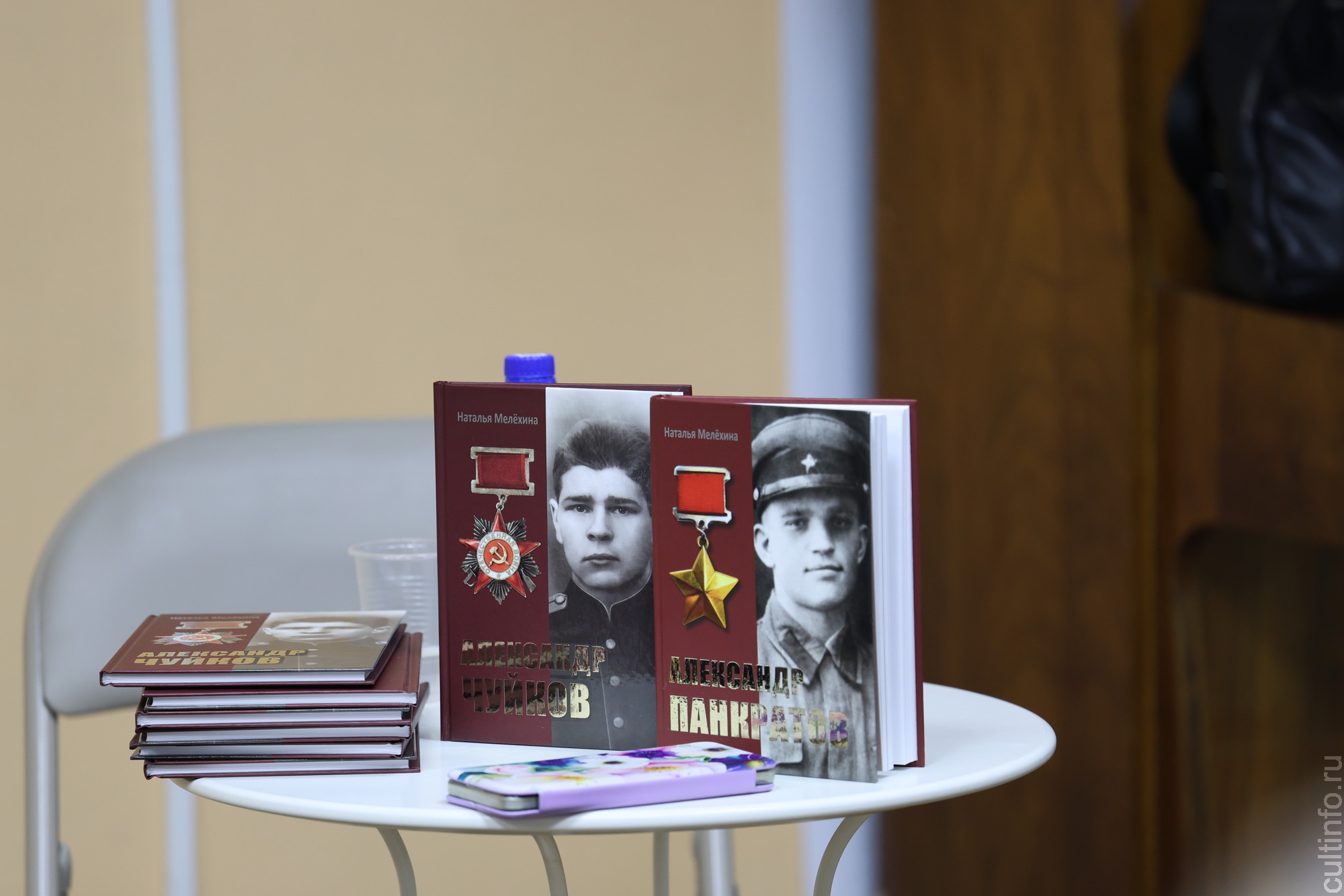 Благодаря областному гранту издана книга Натальи Мелёхиной о герое Вологодчины Александре Чуйкове 