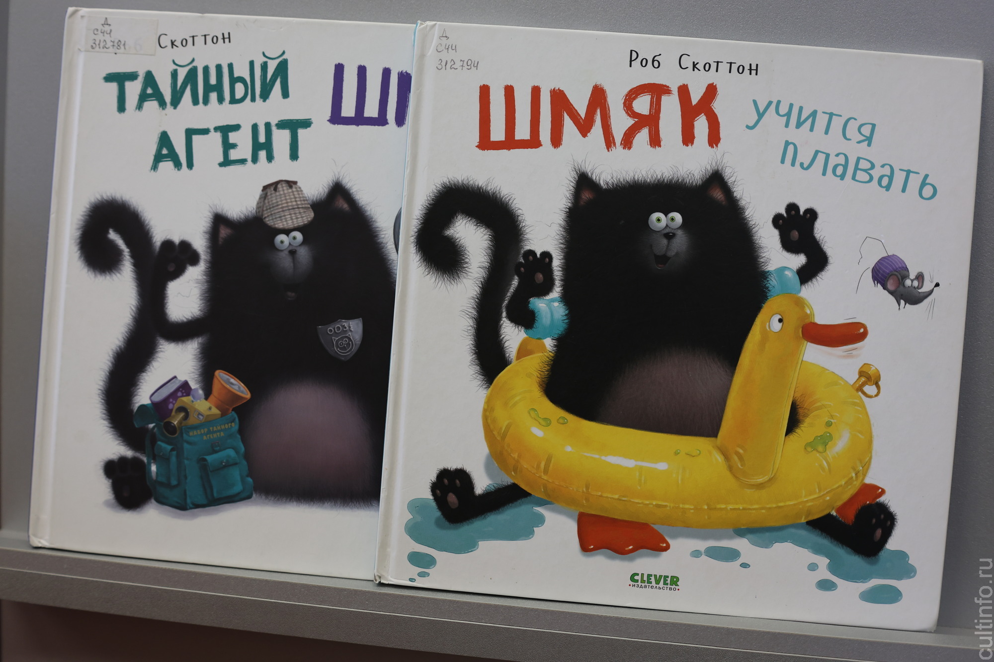 Что любят читать вологжане: рассказывают вологодские библиотеки во Всемирный день книголюба 
