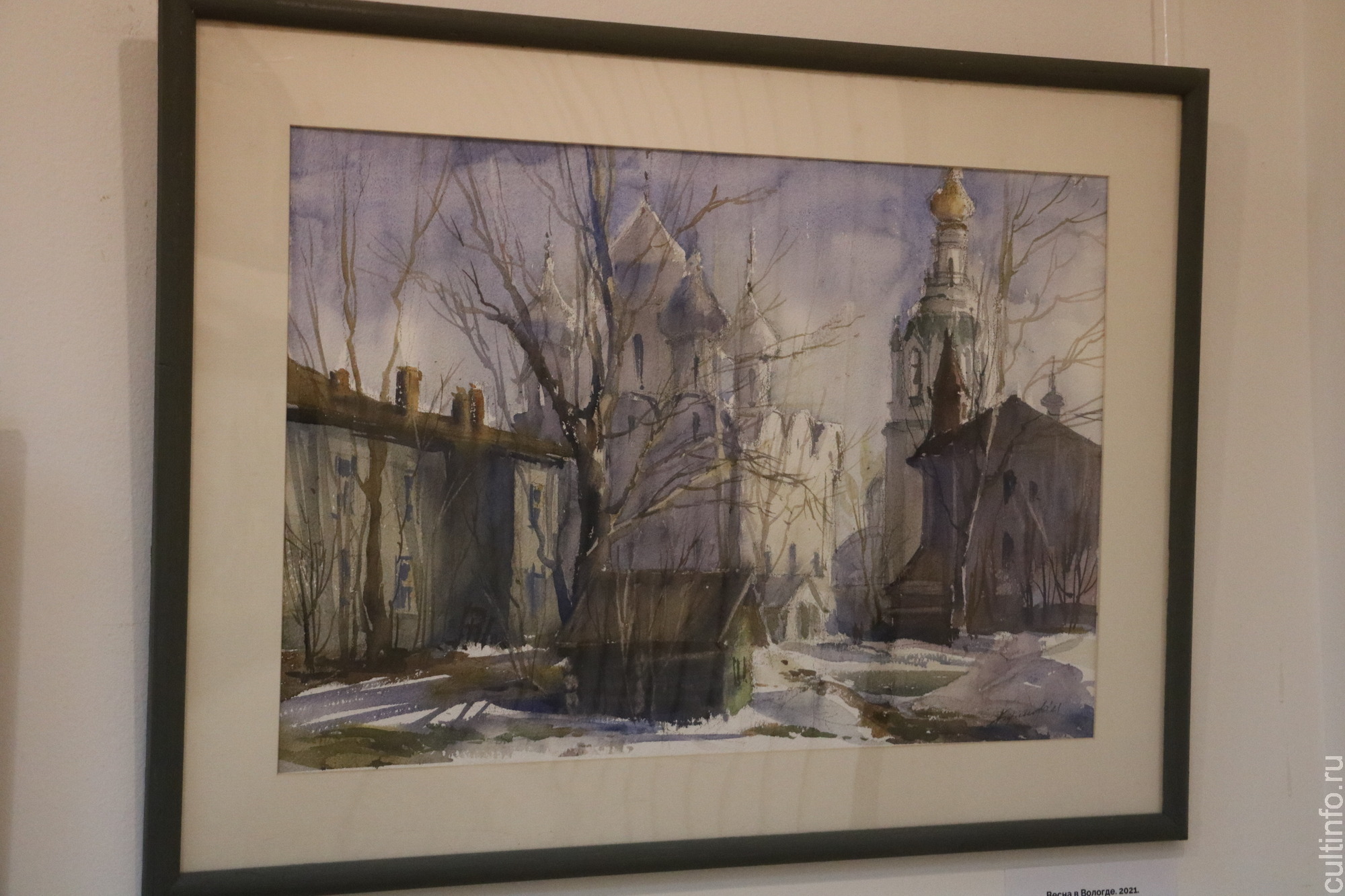 Традиции и новаторство акварели череповецкого художника Любови Борисовой представлены в Шаламовском доме