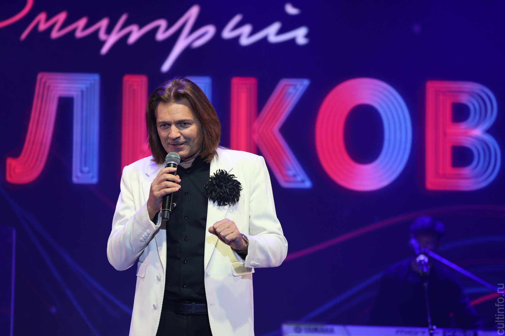 Более 2,5 тысяч вологжан побывало на бесплатном концерте Дмитрия Маликова