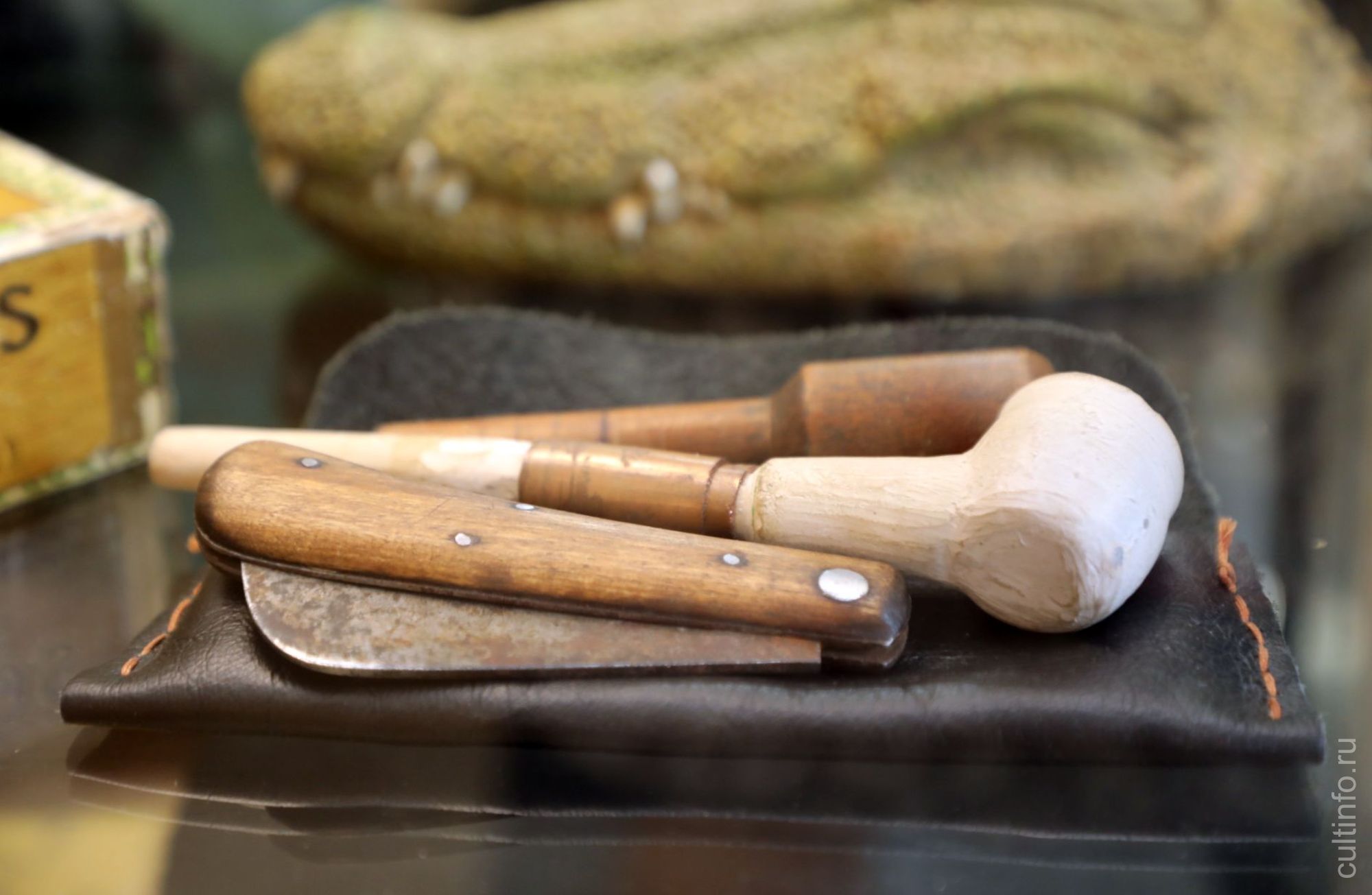 Выставка-исследование «Затерянный мир» 