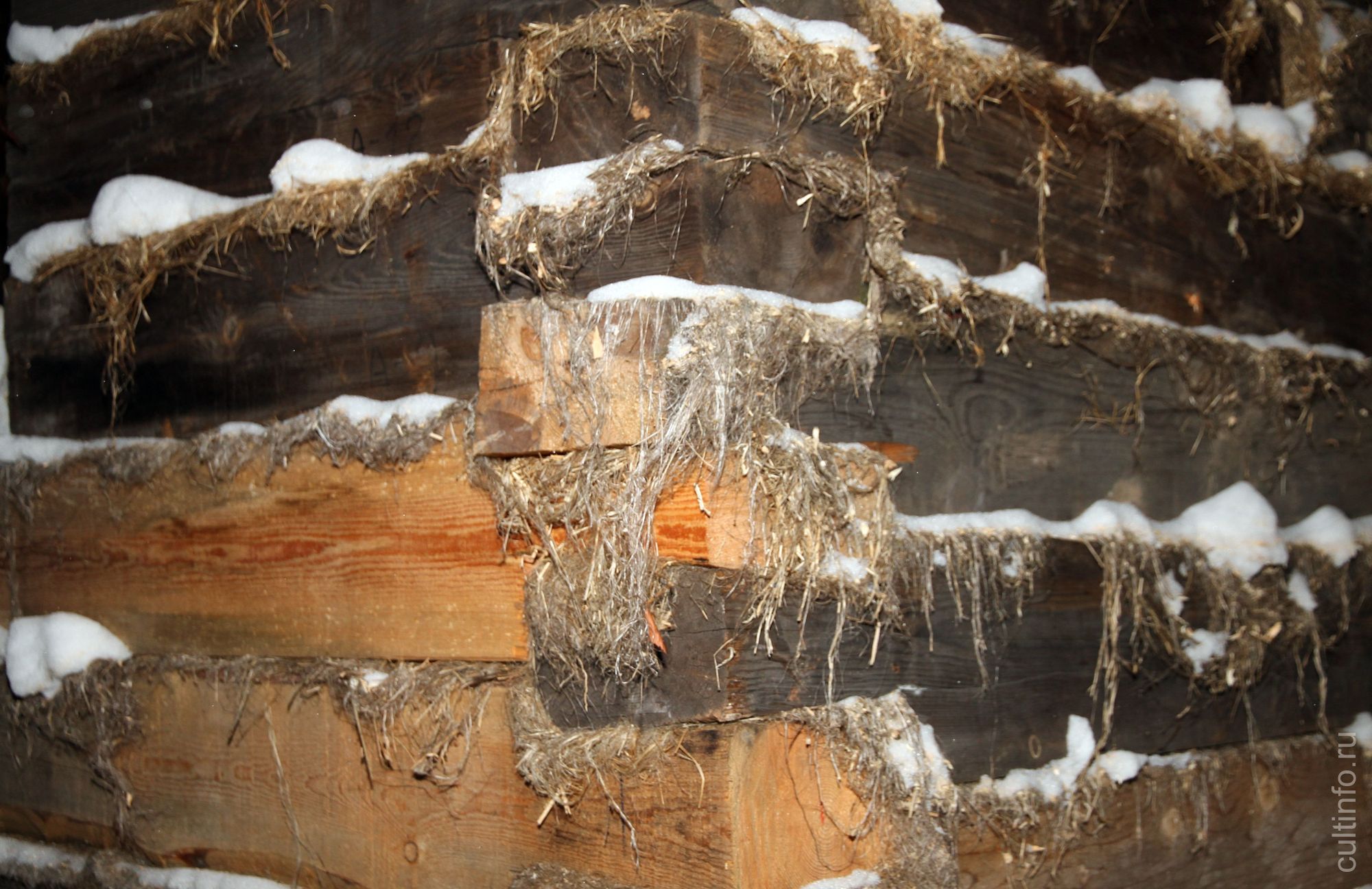 Угол в лапу. Дом работников треста «Севтранслес» на ул. Зосимовской, 54 в процессе реставрации