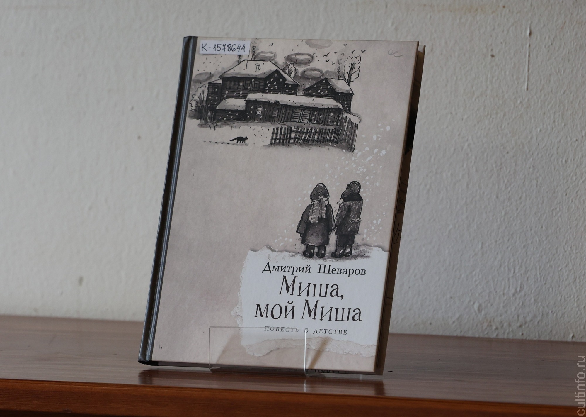 Книгу о вологодском детстве и своем лучшем друге той поры представил в областной библиотеке журналист и писатель Дмитрий Шеваров 