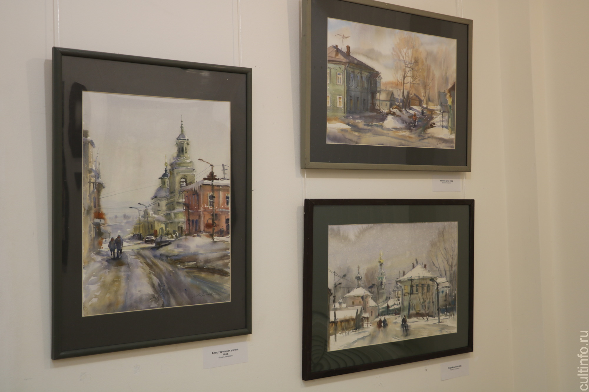 Традиции и новаторство акварели череповецкого художника Любови Борисовой представлены в Шаламовском доме