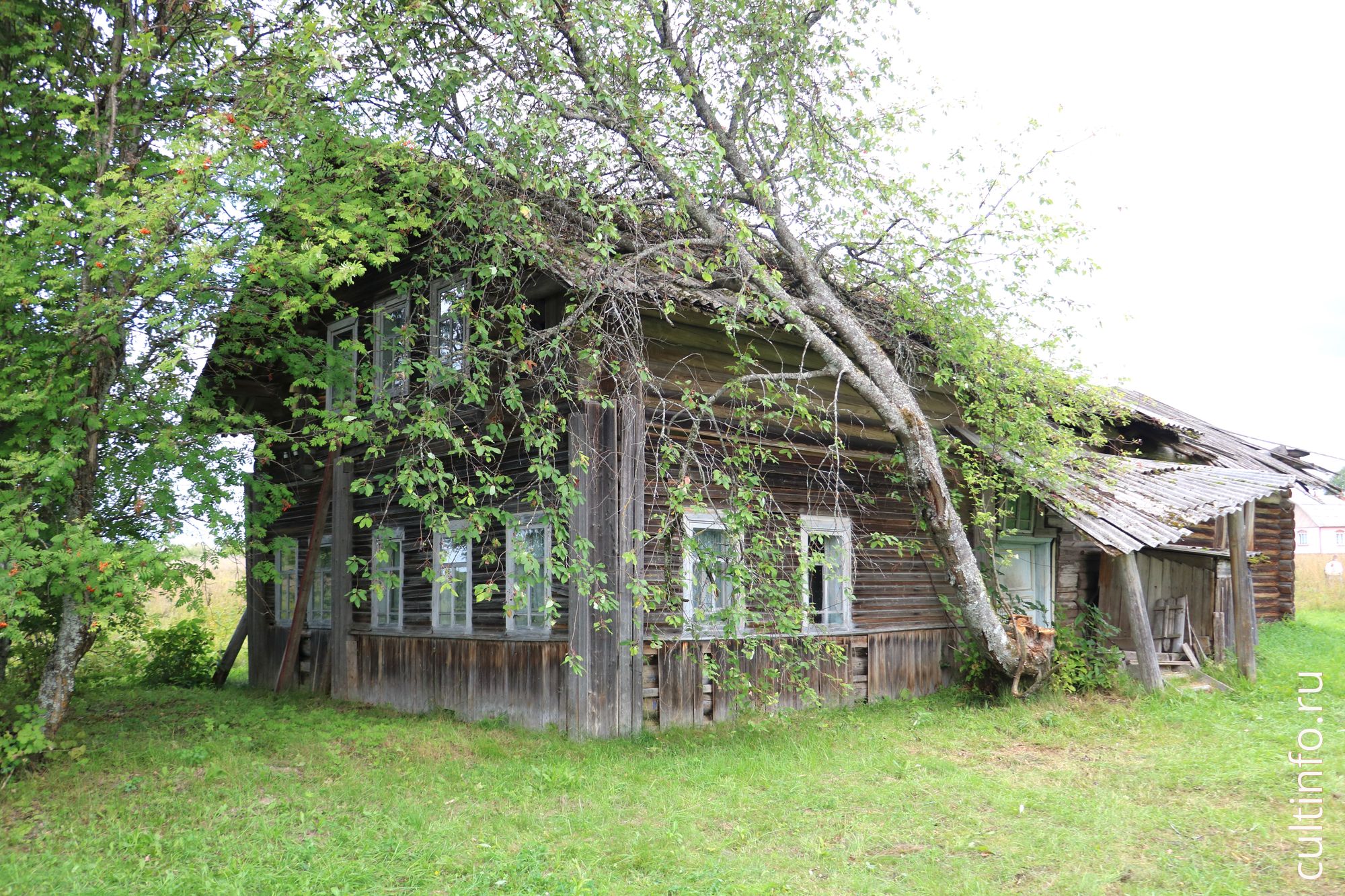 Дом Ольги Фокиной в деревне Артемьевская