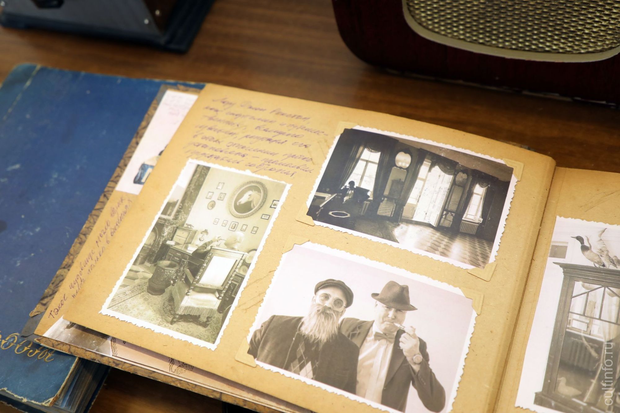 «Фотоальбом Эдварда Мелоуна»