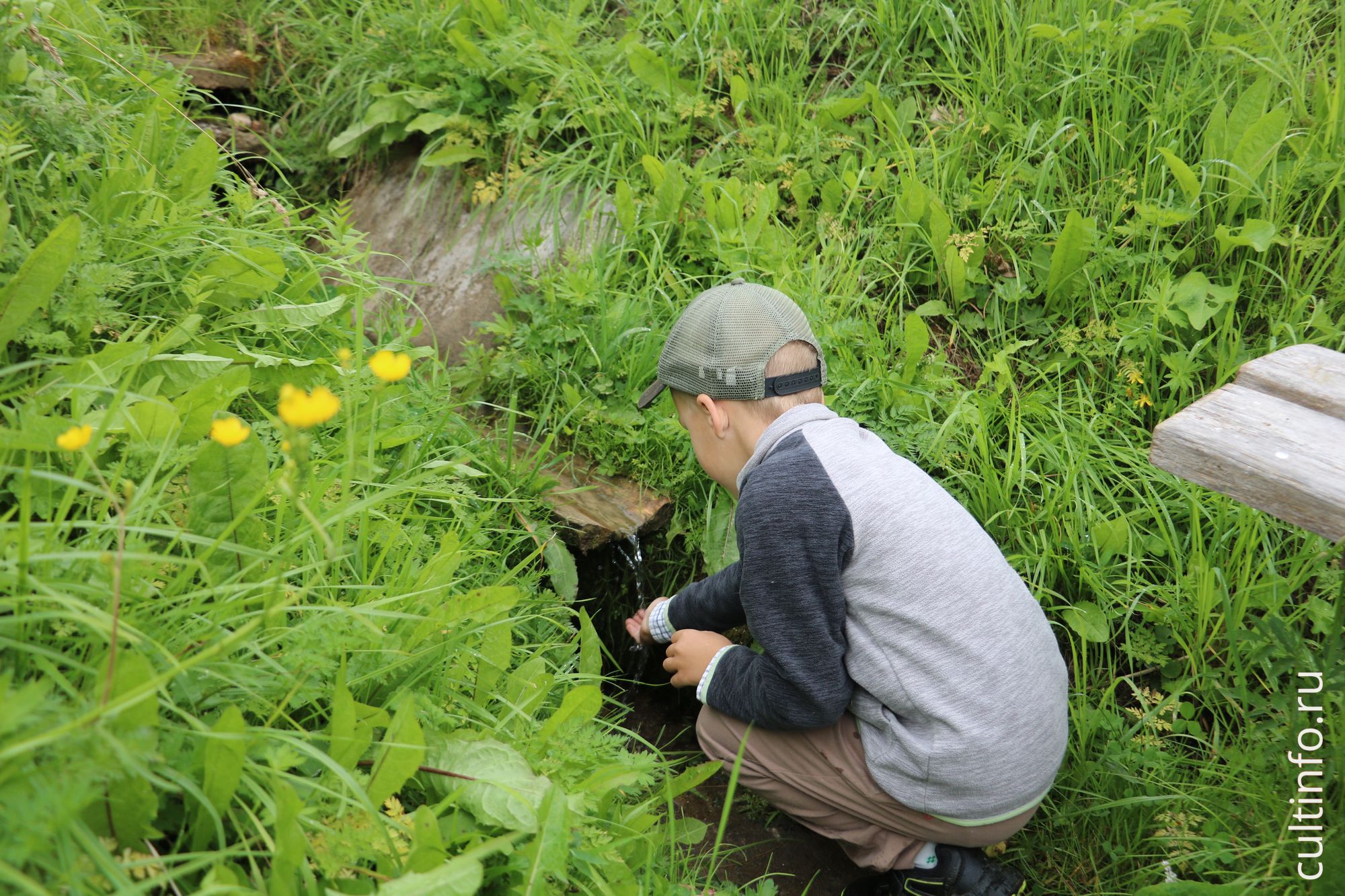 Фокинский родник