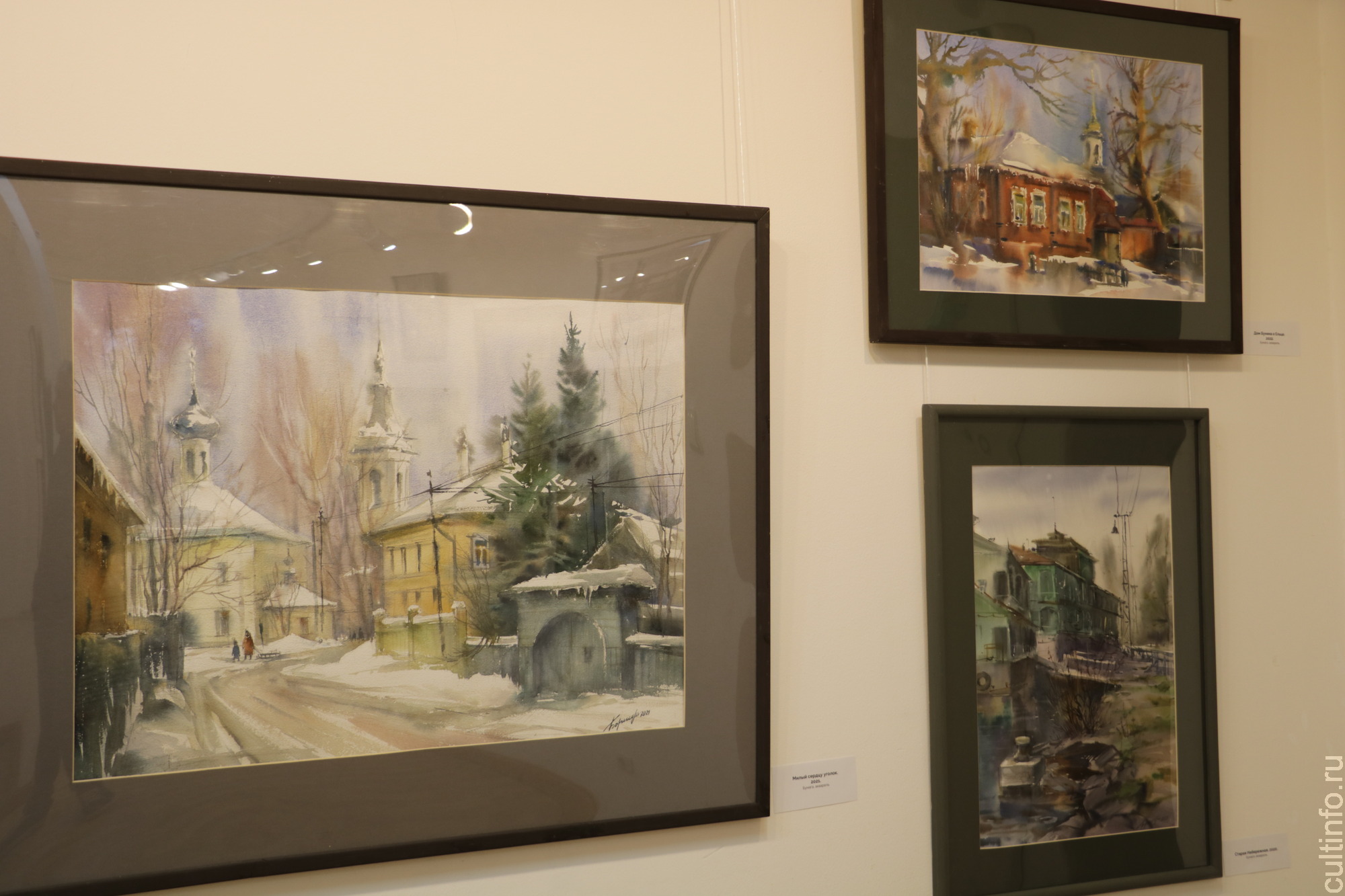 Традиции и новаторство акварели череповецкого художника Любови Борисовой представлены в Шаламовском доме