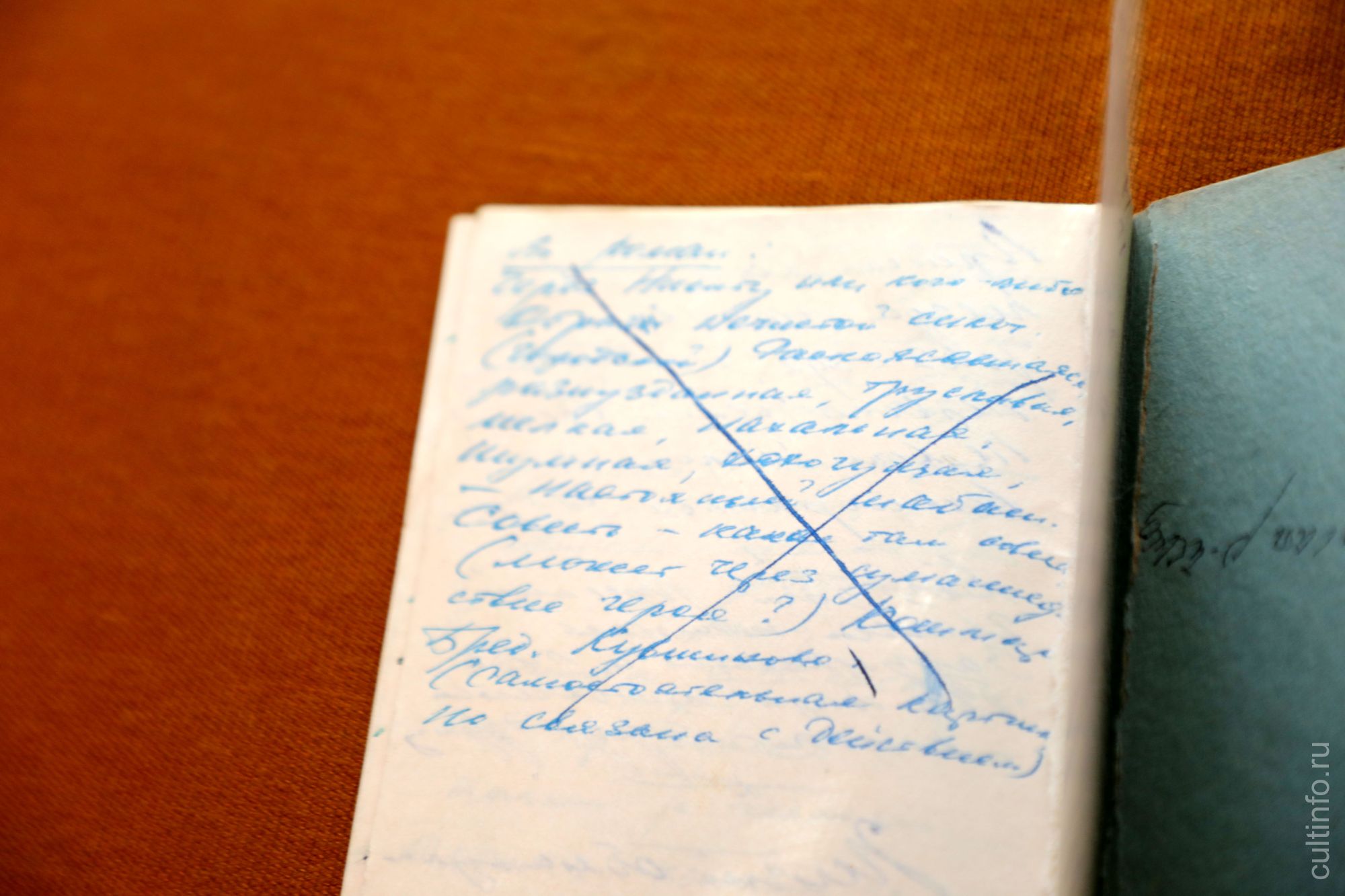 Записная книжка Василия Белова 